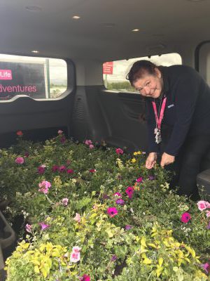 Our hanging baskets bring joy to the local community